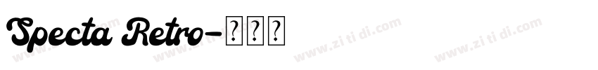 Specta Retro字体转换